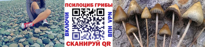 мега ССЫЛКА  Любим  Галлюциногенные грибы Psilocybine cubensis 